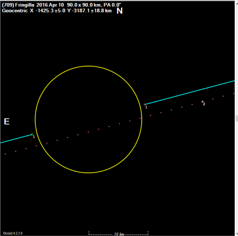 Fringilla occultation__ 2016 April 10